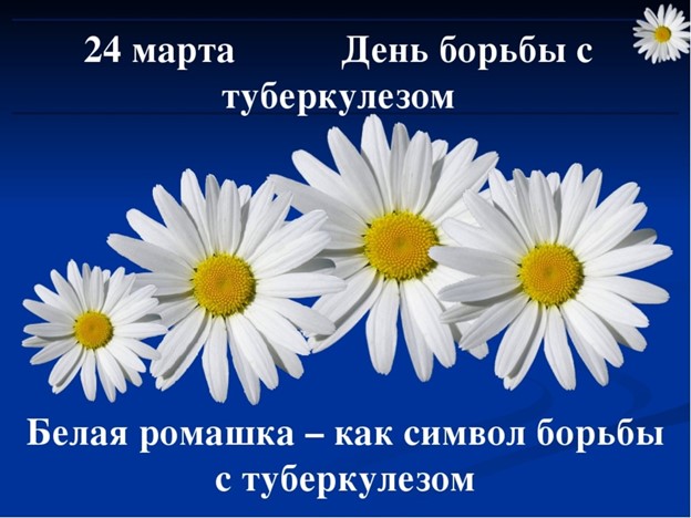 Рисунок1.jpg Рисунок1.jpg